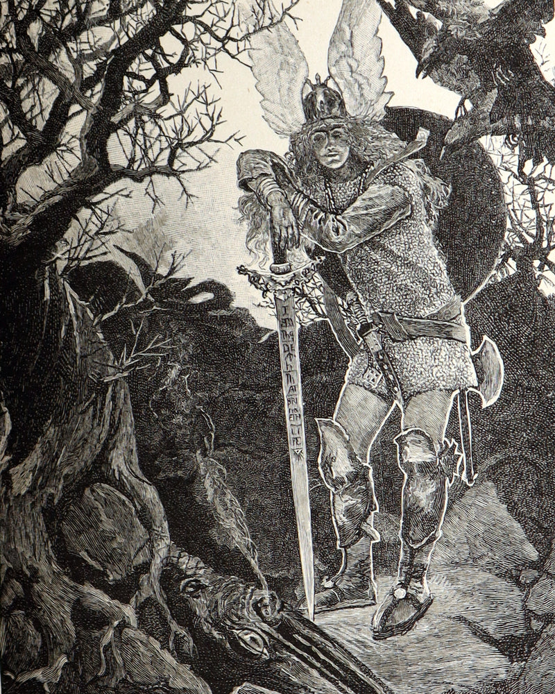 1882 Rare First Edition - The Story of Siegfried illustrated by Howard Pyle