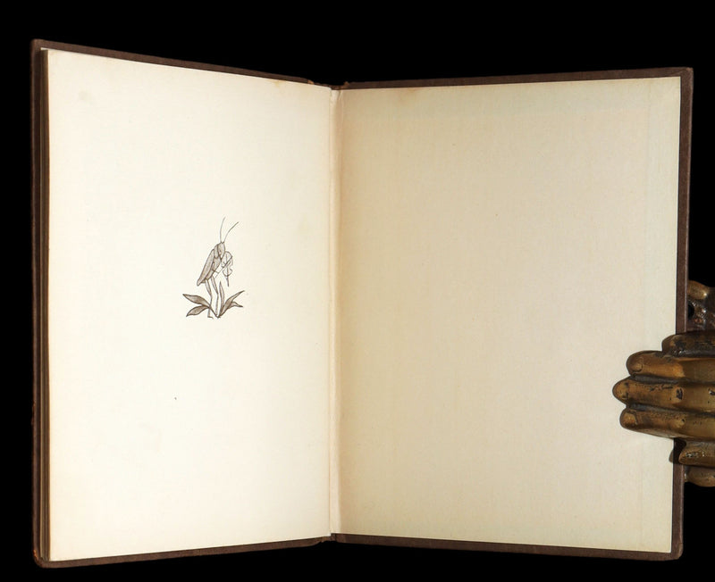 1931 Scarce First English Edition - The Gnome’s Almanack by Ida Bohatta Morpurgo