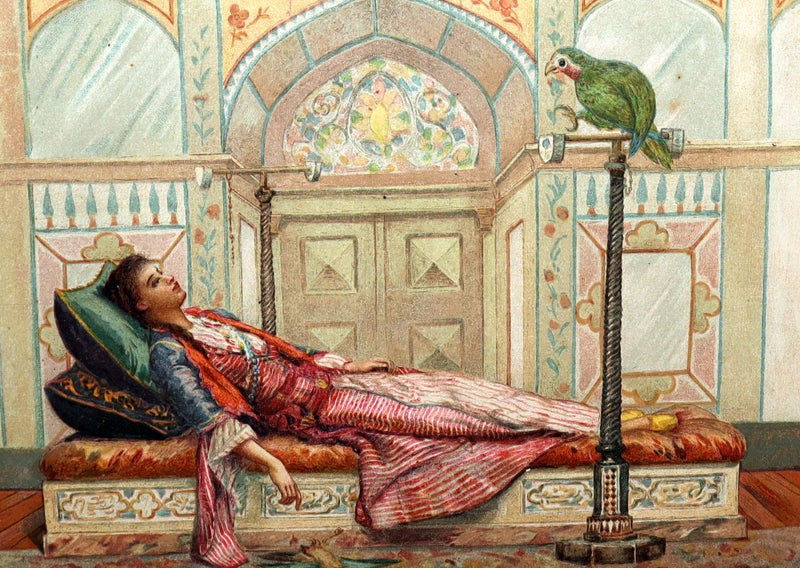 1892 Scarce First Edition - Fairy Tales of a Parrot, Adapted from the Persian