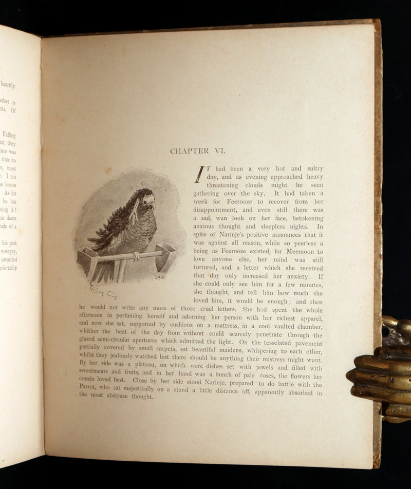 1892 Scarce First Edition - Fairy Tales of a Parrot, Adapted from the Persian