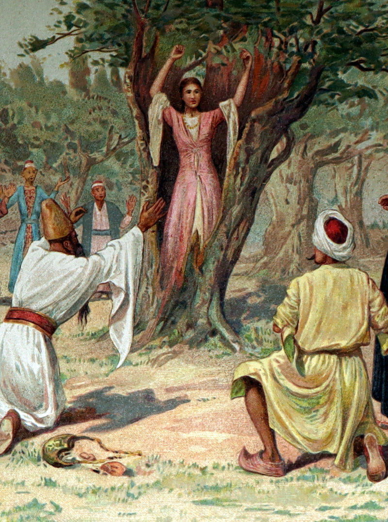 1892 Scarce First Edition - Fairy Tales of a Parrot, Adapted from the Persian