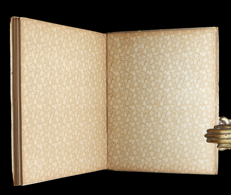 1892 Scarce First Edition - Fairy Tales of a Parrot, Adapted from the Persian