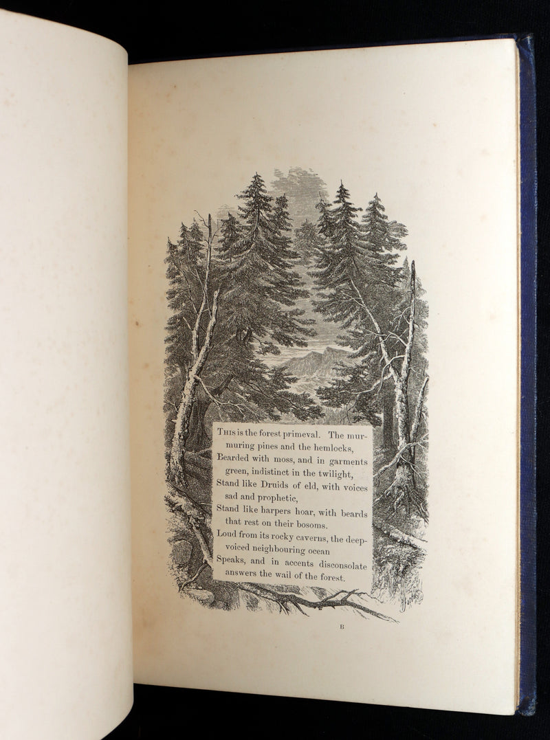 1854 Rare Victorian Book - Evangeline, A tale of Acadie by Longfellow