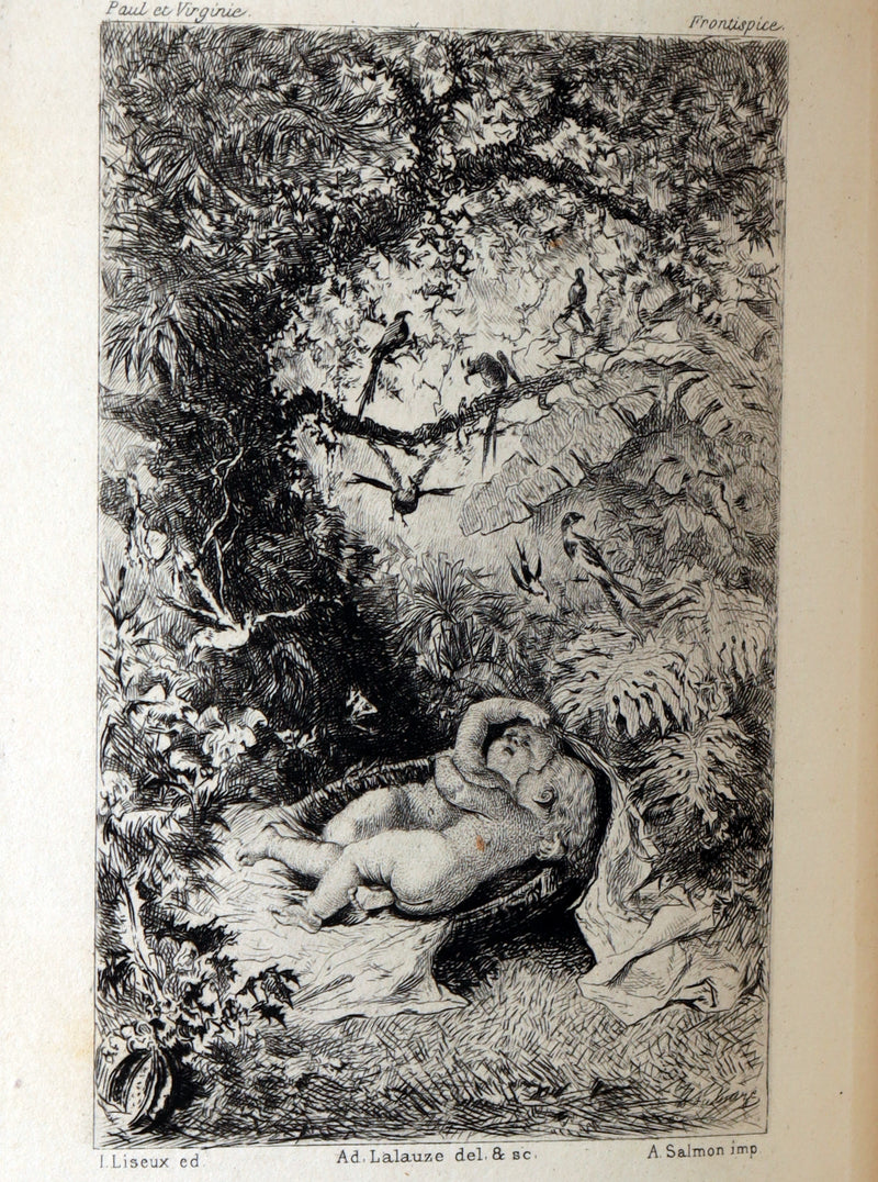 1881 Rare Limited Edition - Paul and Virginia. With a Memoir, Illustrated