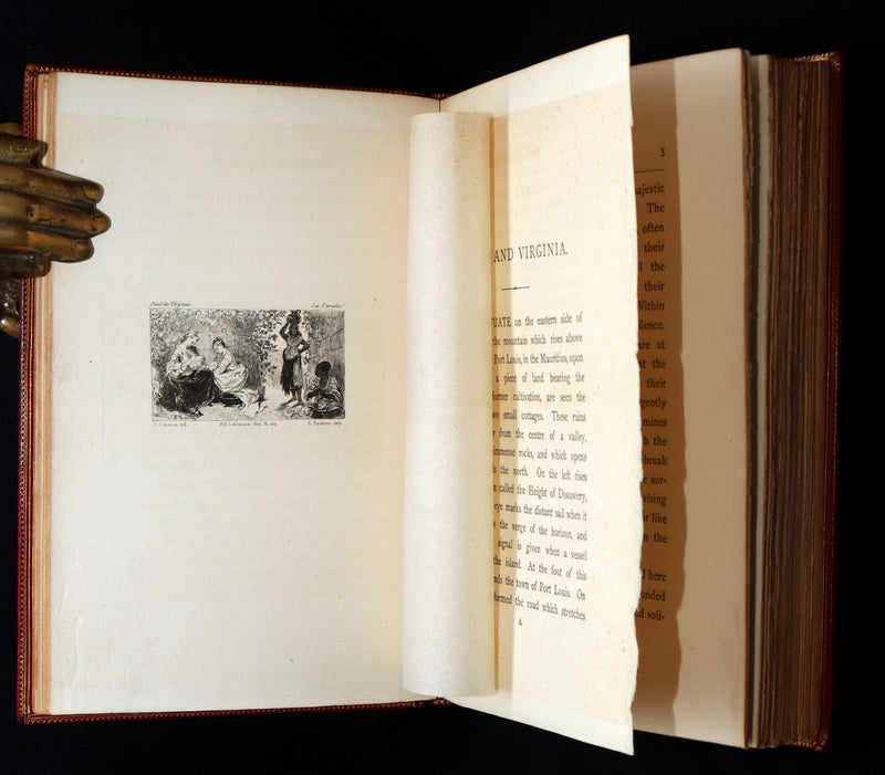 1881 Rare Limited Edition - Paul and Virginia. With a Memoir, Illustrated
