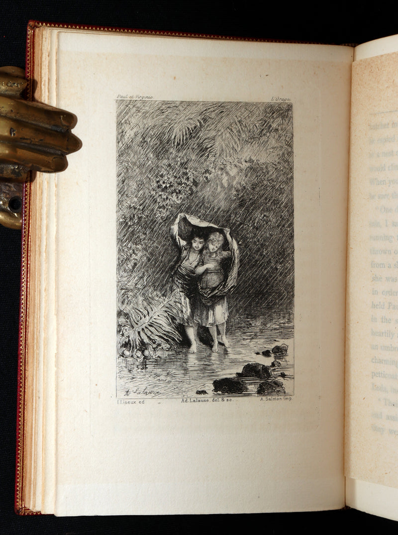 1881 Rare Limited Edition - Paul and Virginia. With a Memoir, Illustrated