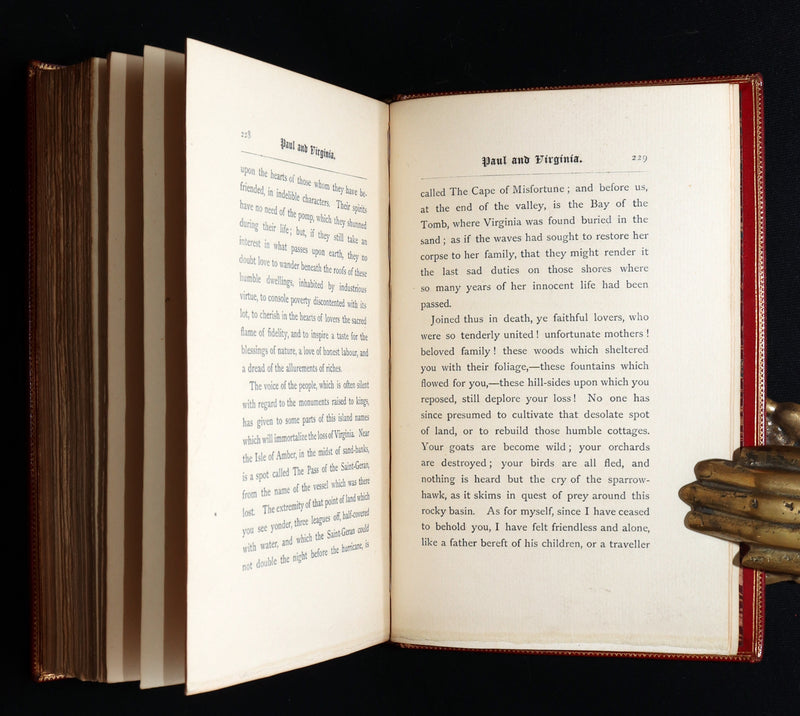 1881 Rare Limited Edition - Paul and Virginia. With a Memoir, Illustrated