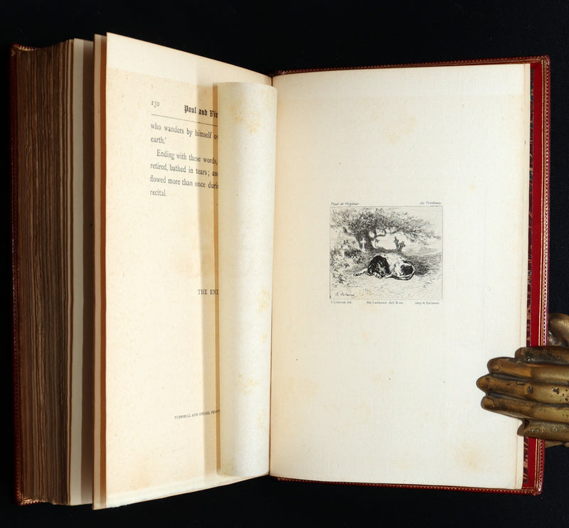 1881 Rare Limited Edition - Paul and Virginia. With a Memoir, Illustrated