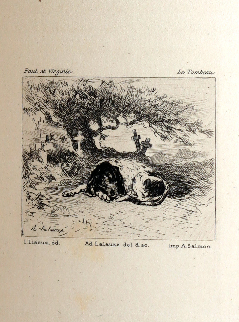 1881 Rare Limited Edition - Paul and Virginia. With a Memoir, Illustrated