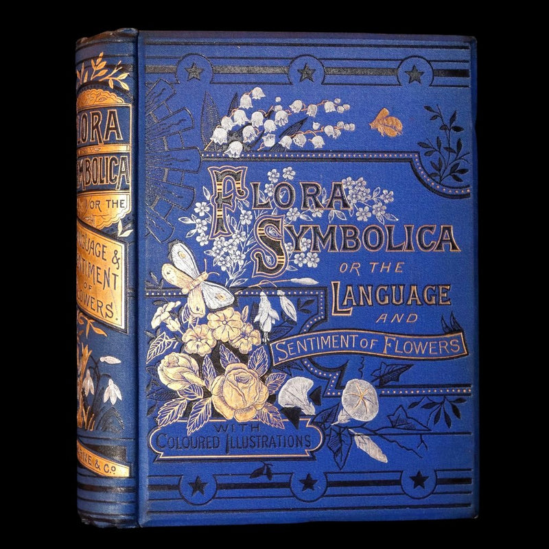 1882 Scarce Floriography Book - Flora Symbolica, The Language of Flowers