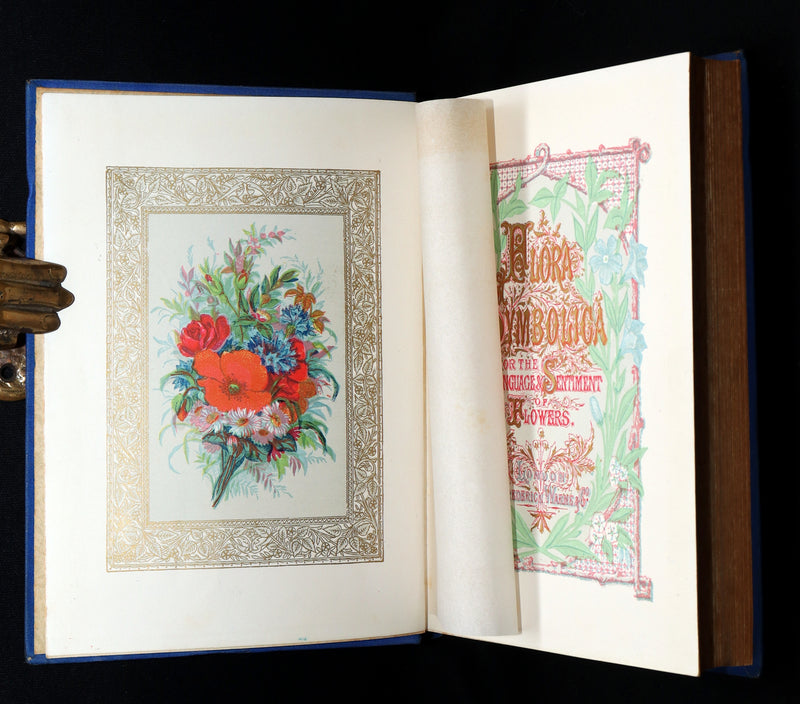 1882 Scarce Floriography Book - Flora Symbolica, The Language of Flowers