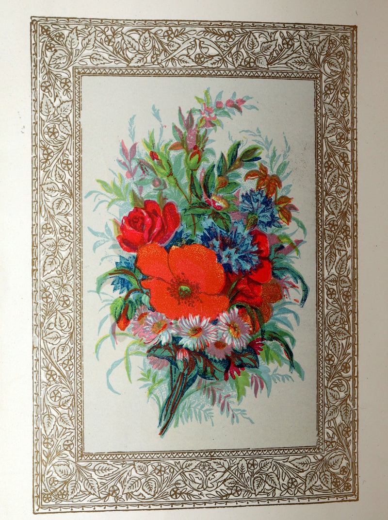 1882 Scarce Floriography Book - Flora Symbolica, The Language of Flowers