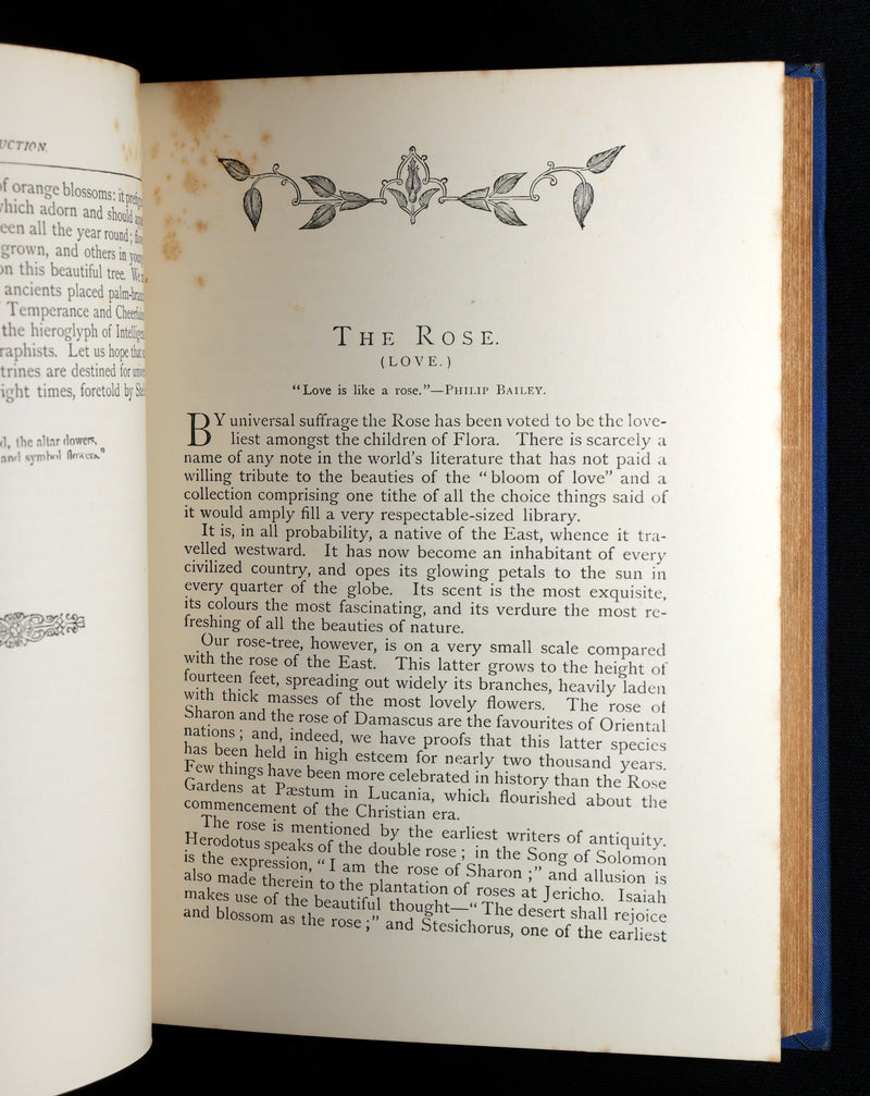 1882 Scarce Floriography Book - Flora Symbolica, The Language of Flowers