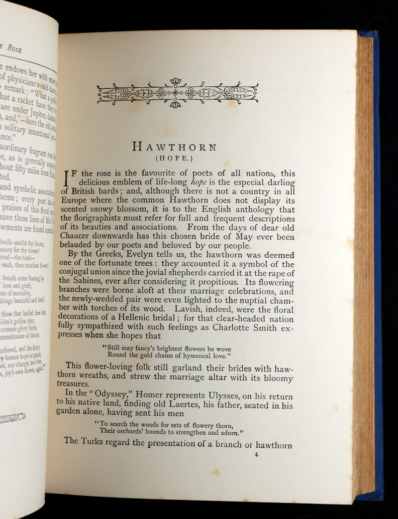 1882 Scarce Floriography Book - Flora Symbolica, The Language of Flowers