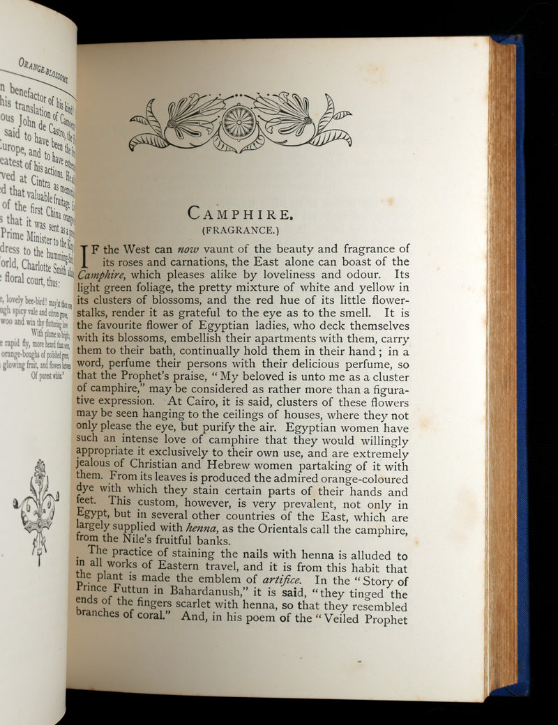 1882 Scarce Floriography Book - Flora Symbolica, The Language of Flowers