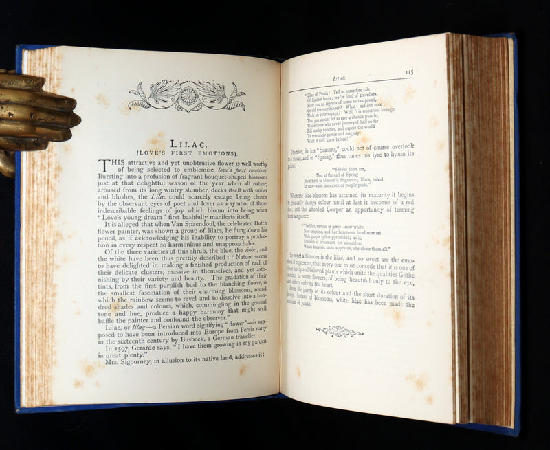 1882 Scarce Floriography Book - Flora Symbolica, The Language of Flowers