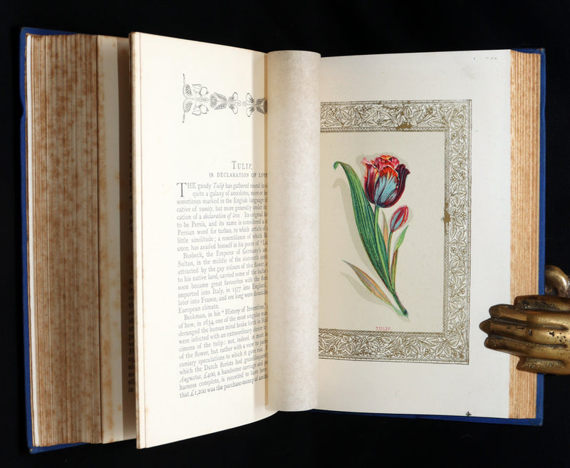 1882 Scarce Floriography Book - Flora Symbolica, The Language of Flowers