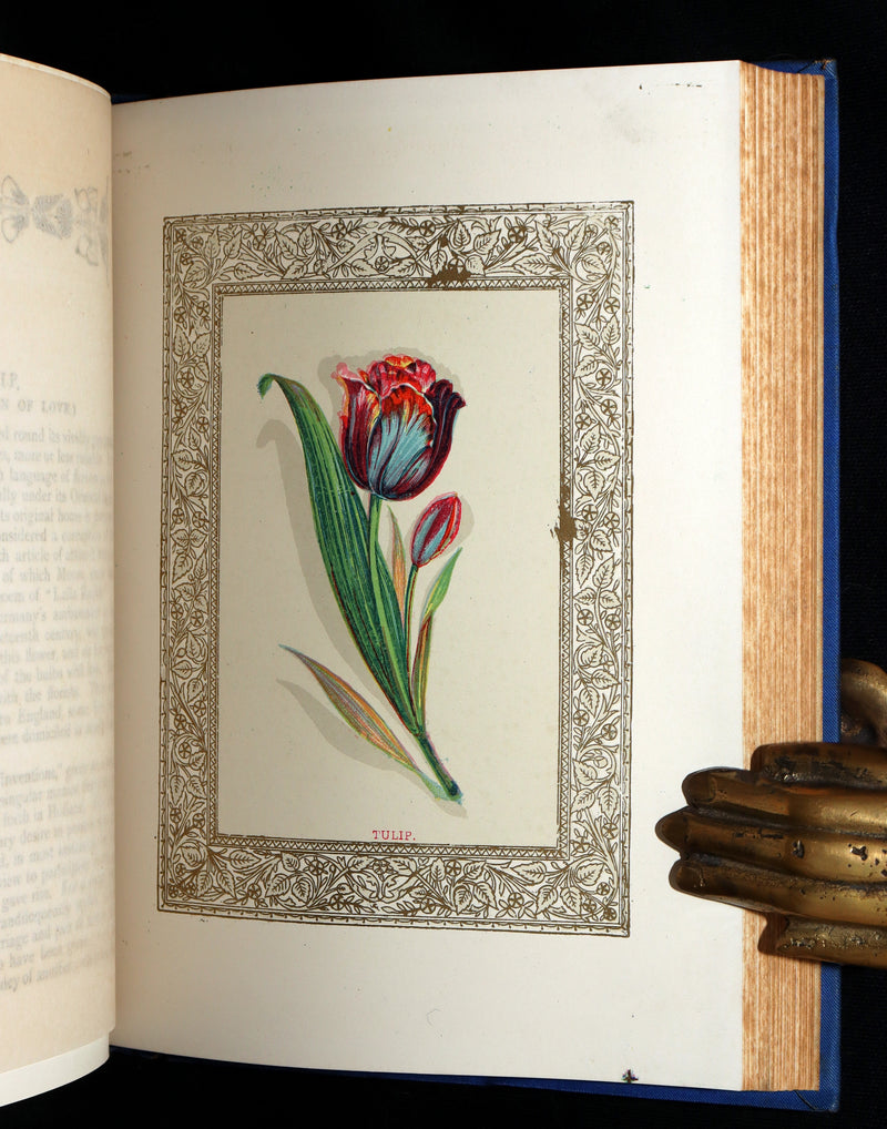 1882 Scarce Floriography Book - Flora Symbolica, The Language of Flowers