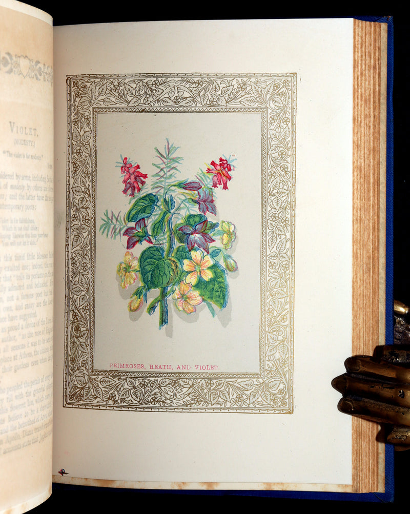 1882 Scarce Floriography Book - Flora Symbolica, The Language of Flowers