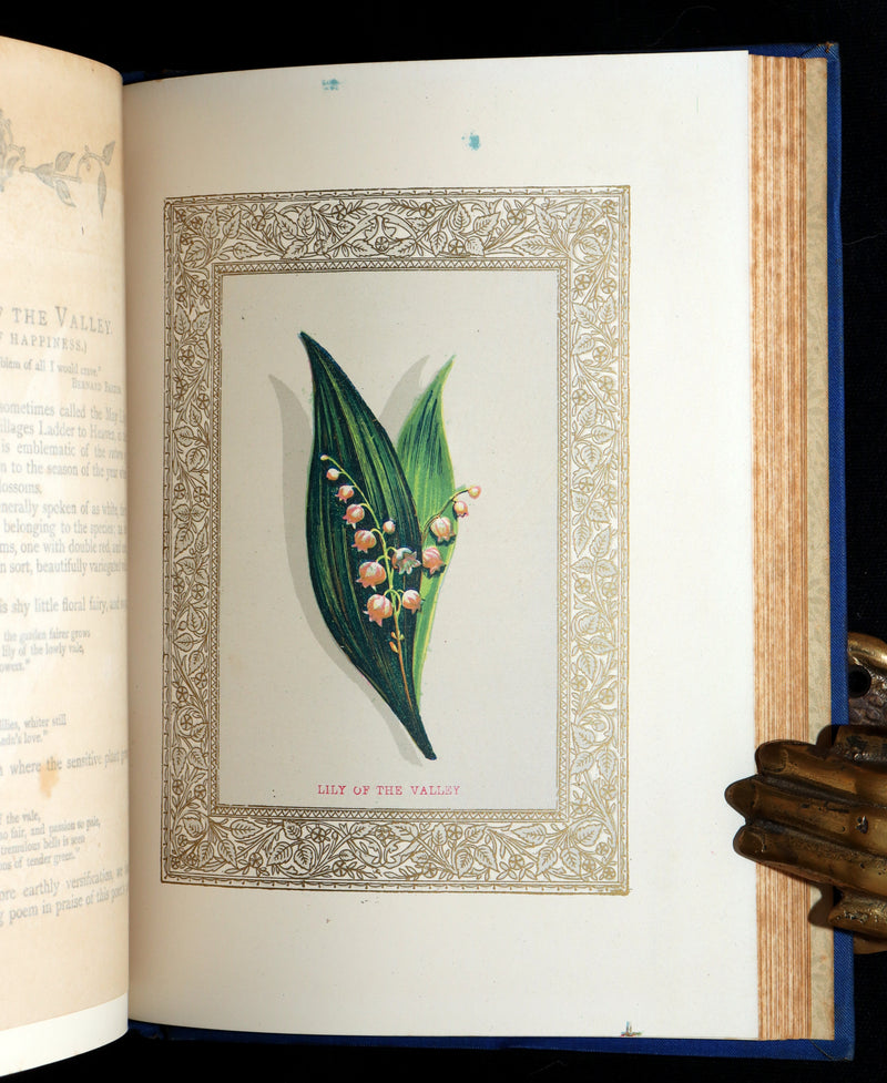 1882 Scarce Floriography Book - Flora Symbolica, The Language of Flowers
