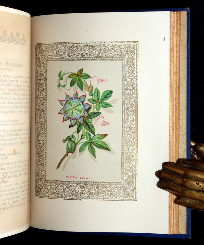 1882 Scarce Floriography Book - Flora Symbolica, The Language of Flowers