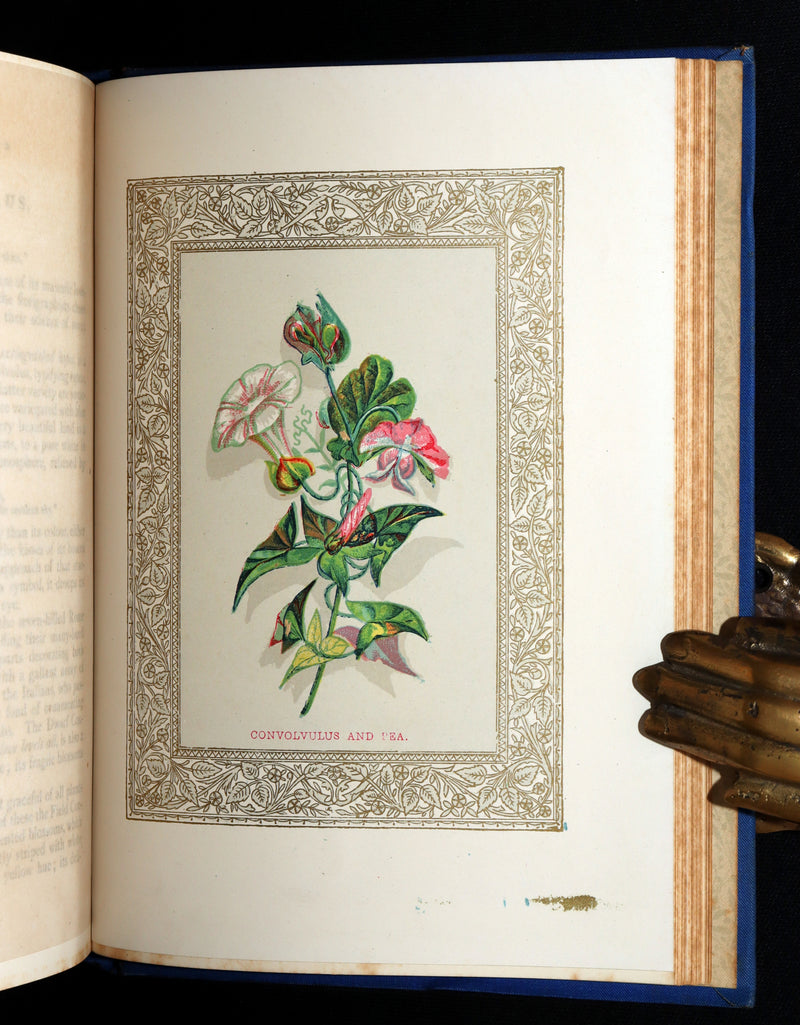 1882 Scarce Floriography Book - Flora Symbolica, The Language of Flowers