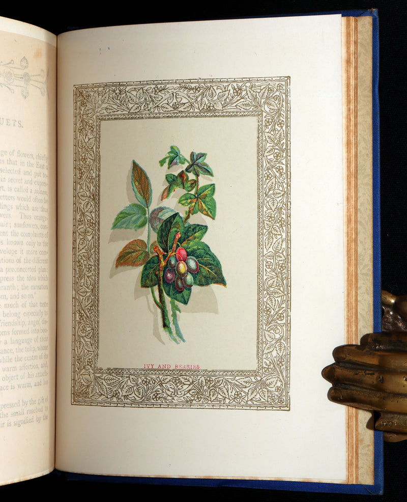 1882 Scarce Floriography Book - Flora Symbolica, The Language of Flowers