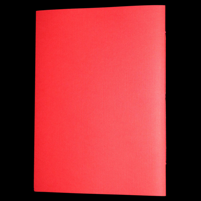 2013 Rare 1stED - An Unexpected Gift, A Christmas Tale by Charles van Sandwyk