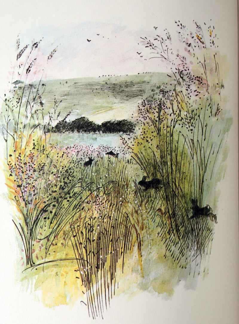 1976 Rare First Illustrated Edition - Watership Down Signed by John Lawrence