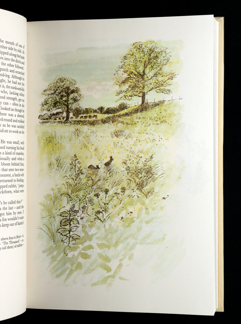 1976 Rare First Illustrated Edition - Watership Down Signed by John Lawrence