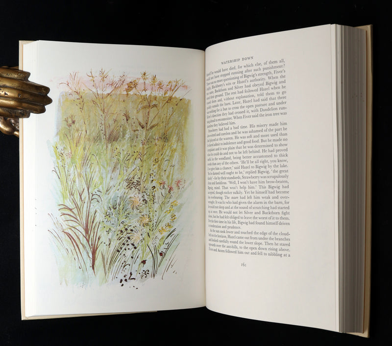 1976 Rare First Illustrated Edition - Watership Down Signed by John Lawrence