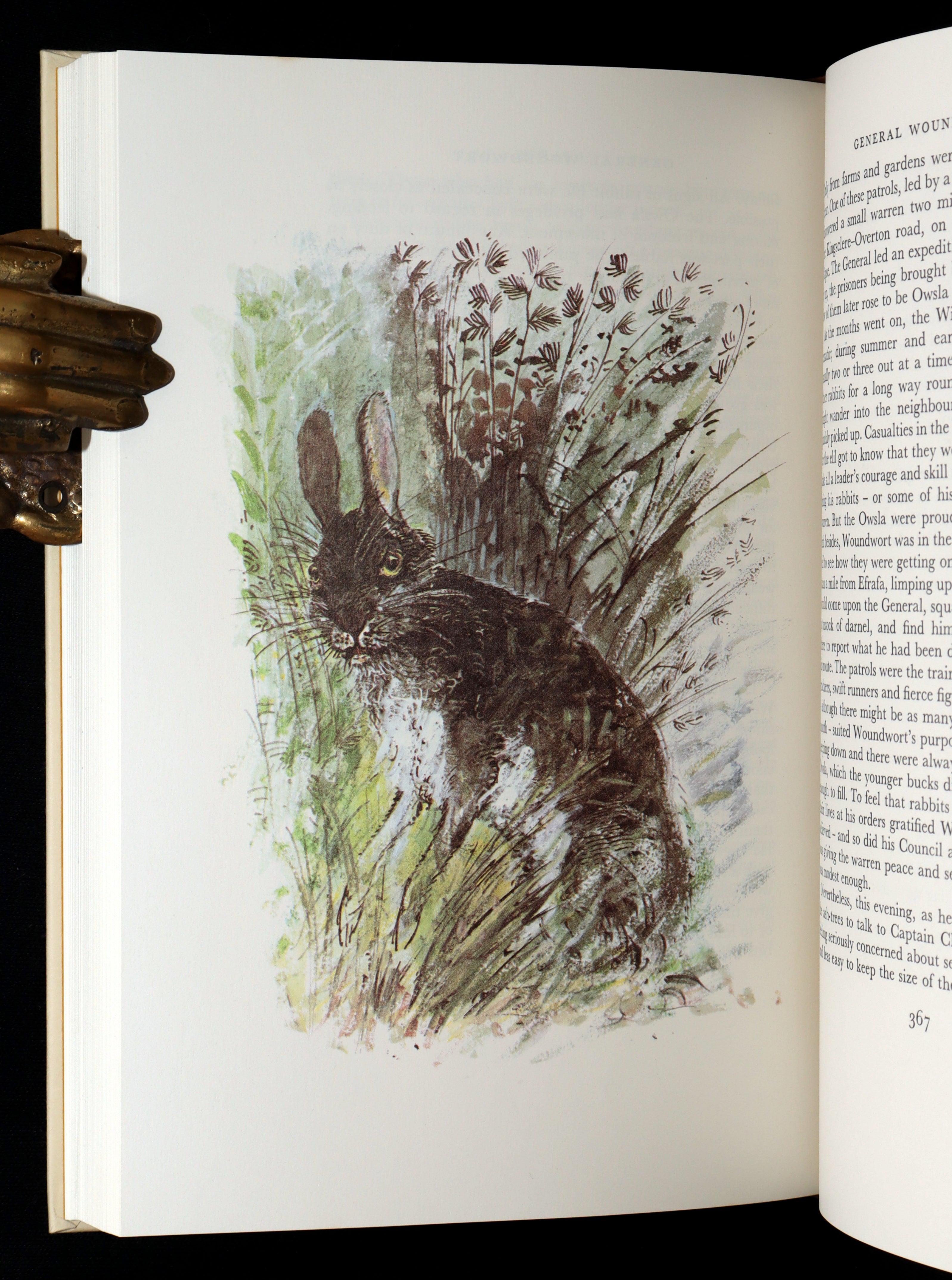 1976 Rare First Illustrated Edition - Watership Down Signed by