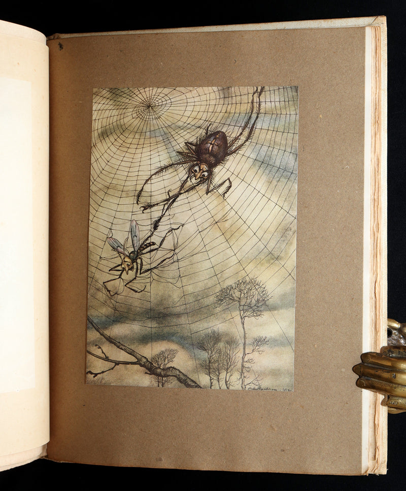 1912 Rare First Signed Edition #1004 - Æsop Fables Illustrated by Arthur Rackham