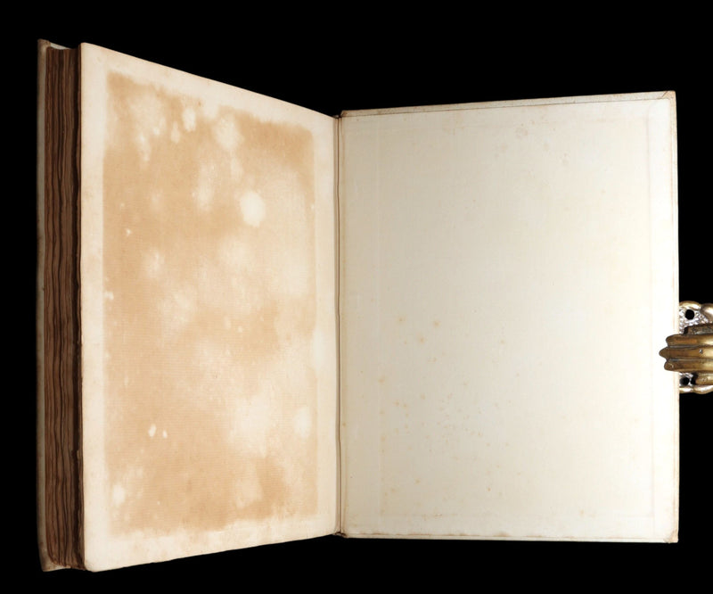 1912 Rare First Signed Edition #1004 - Æsop Fables Illustrated by Arthur Rackham