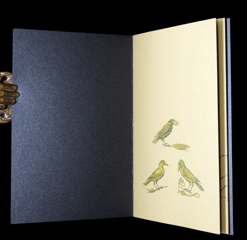 2018 Scarce Triptych - Splendid Crow Field Guide to Decent Humans by van Sandwyk