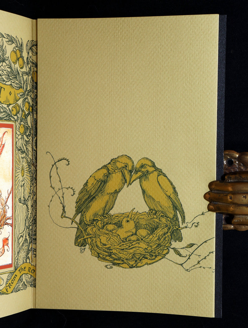 2018 Scarce Triptych - Splendid Crow Field Guide to Decent Humans by van Sandwyk