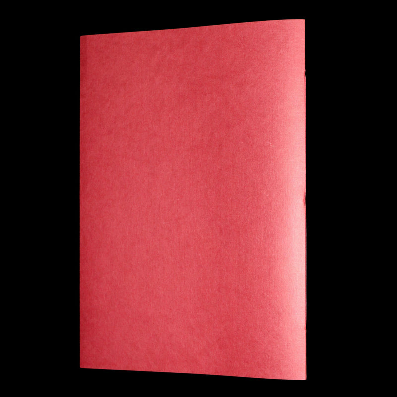 2009 Rare Signed Book - Canadian Content illustrated by Charles van Sandwyk