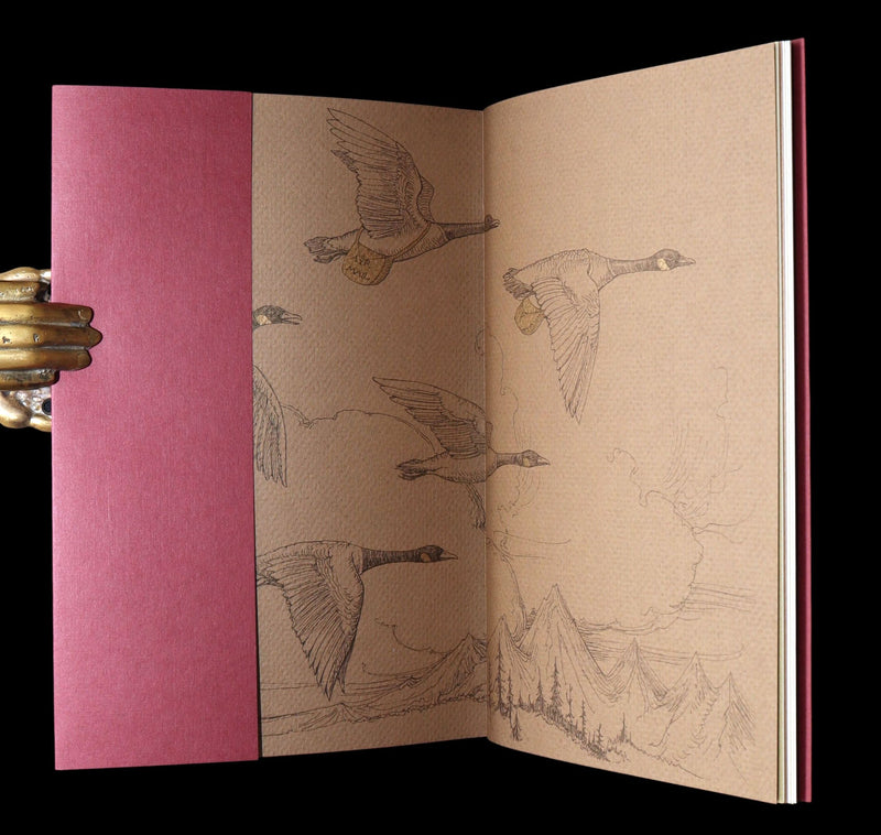 2009 Rare Signed Book - Canadian Content illustrated by Charles van Sandwyk