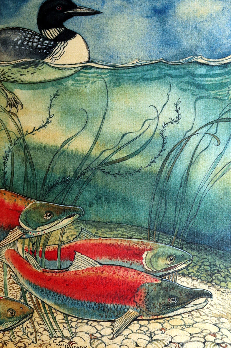 2009 Rare Signed Book - Canadian Content illustrated by Charles van Sandwyk