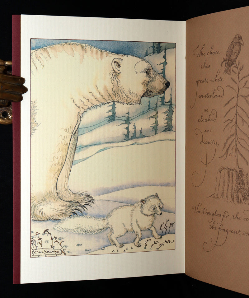 2009 Rare Signed Book - Canadian Content illustrated by Charles van Sandwyk