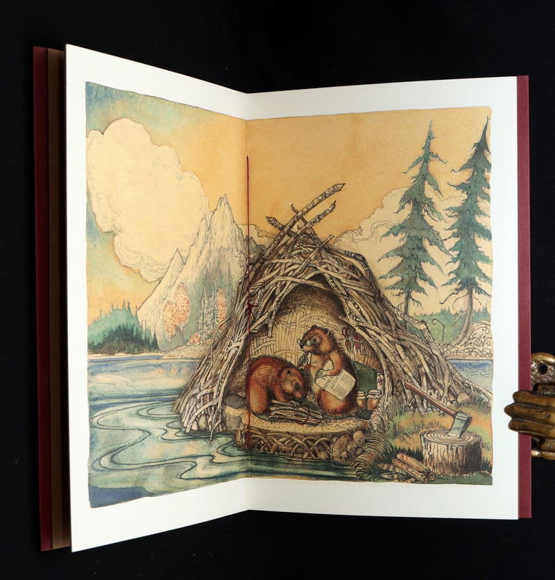 2009 Rare Signed Book - Canadian Content illustrated by Charles van Sandwyk