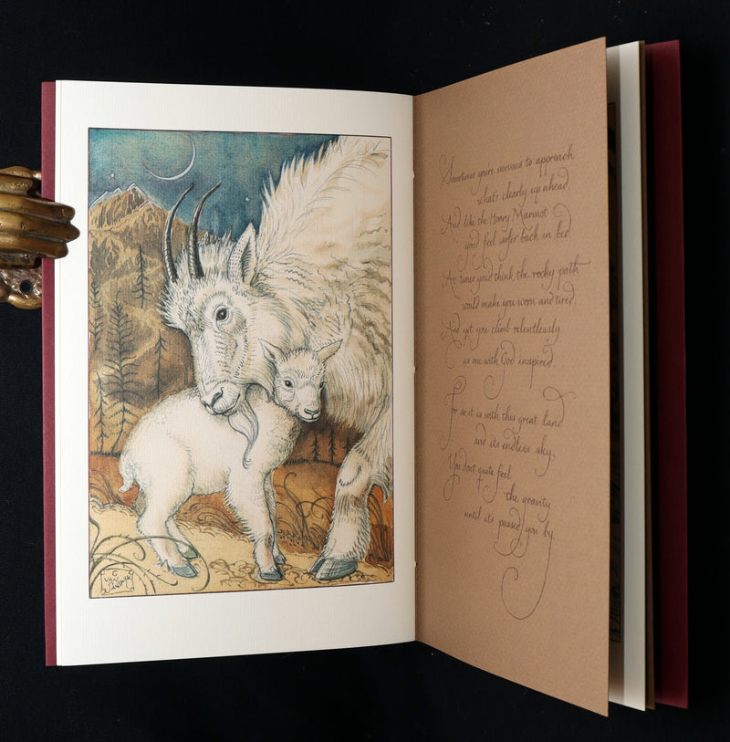 2009 Rare Signed Book - Canadian Content illustrated by Charles van Sandwyk