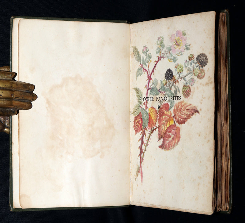 1898 First Edition, Unique Hand-Illuminated - Flower Favourites by Lizzie Deas