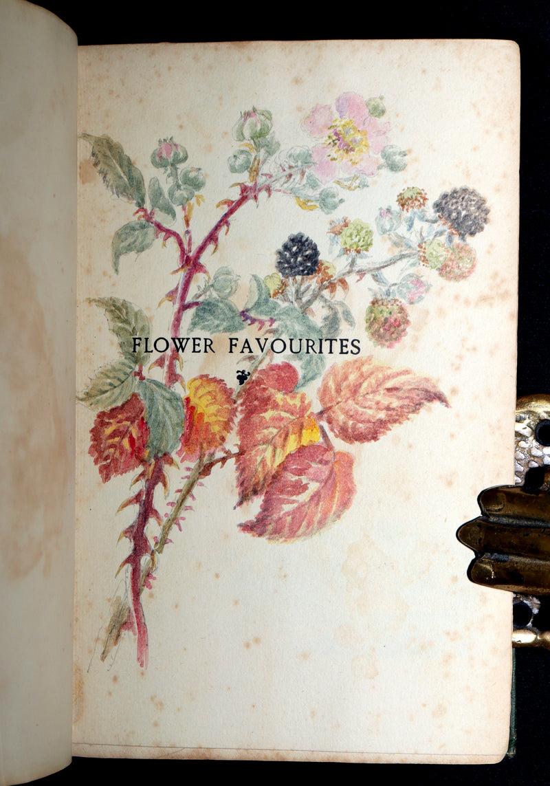 1898 First Edition, Unique Hand-Illuminated - Flower Favourites by Lizzie Deas