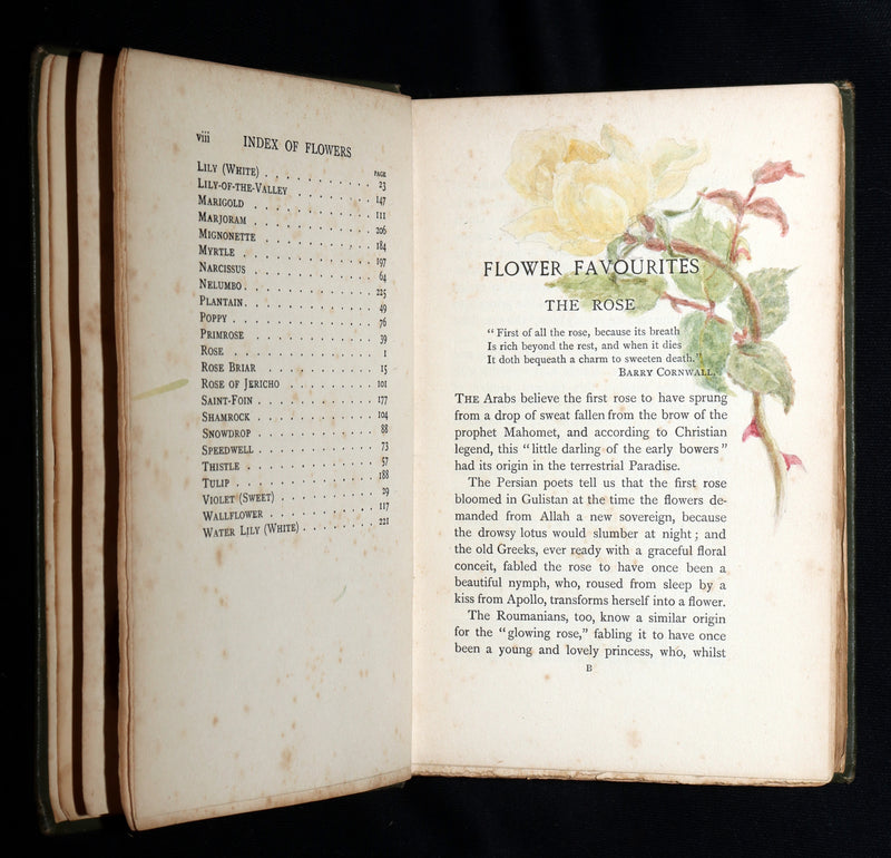 1898 First Edition, Unique Hand-Illuminated - Flower Favourites by Lizzie Deas