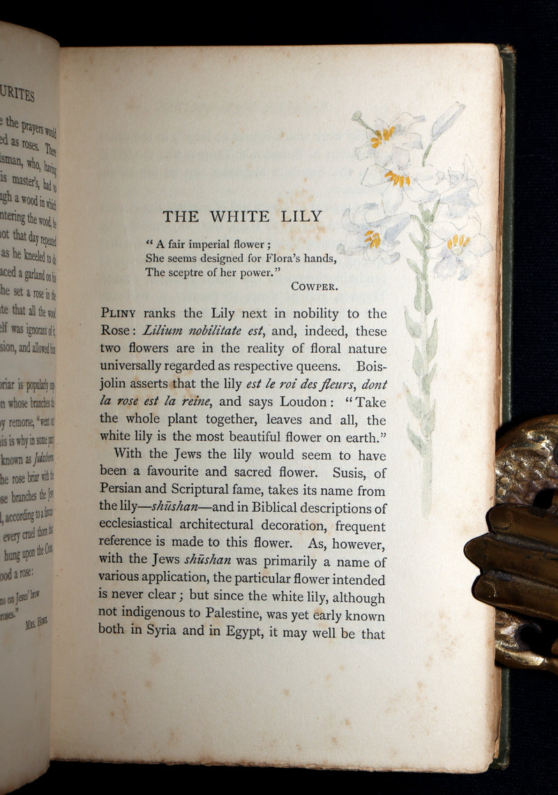 1898 First Edition, Unique Hand-Illuminated - Flower Favourites by Lizzie Deas
