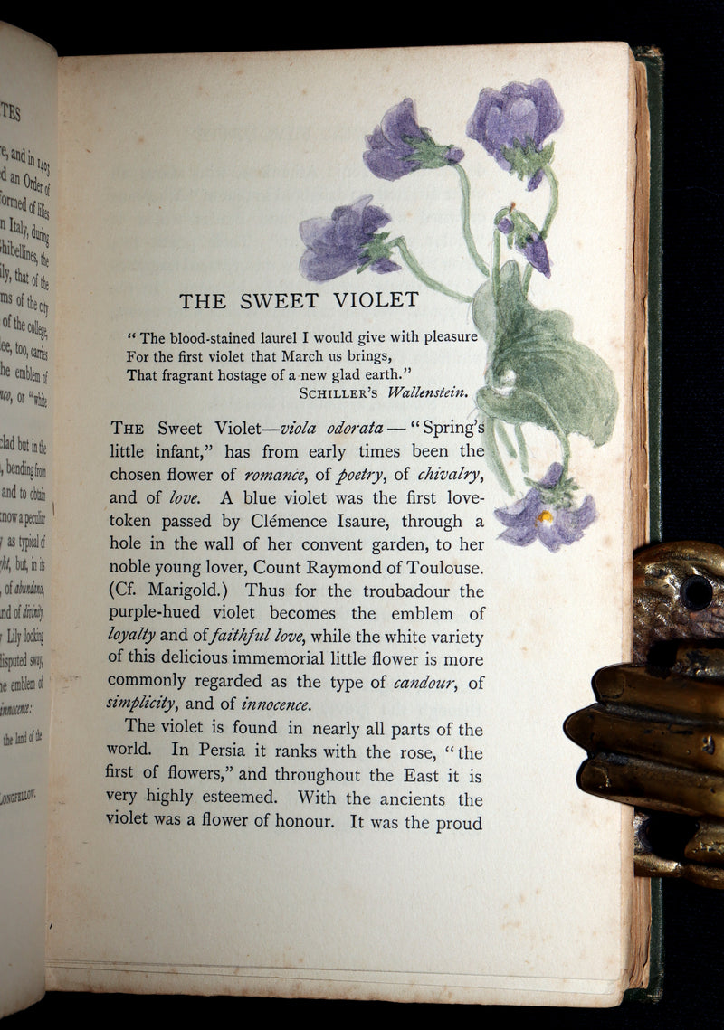 1898 First Edition, Unique Hand-Illuminated - Flower Favourites by Lizzie Deas