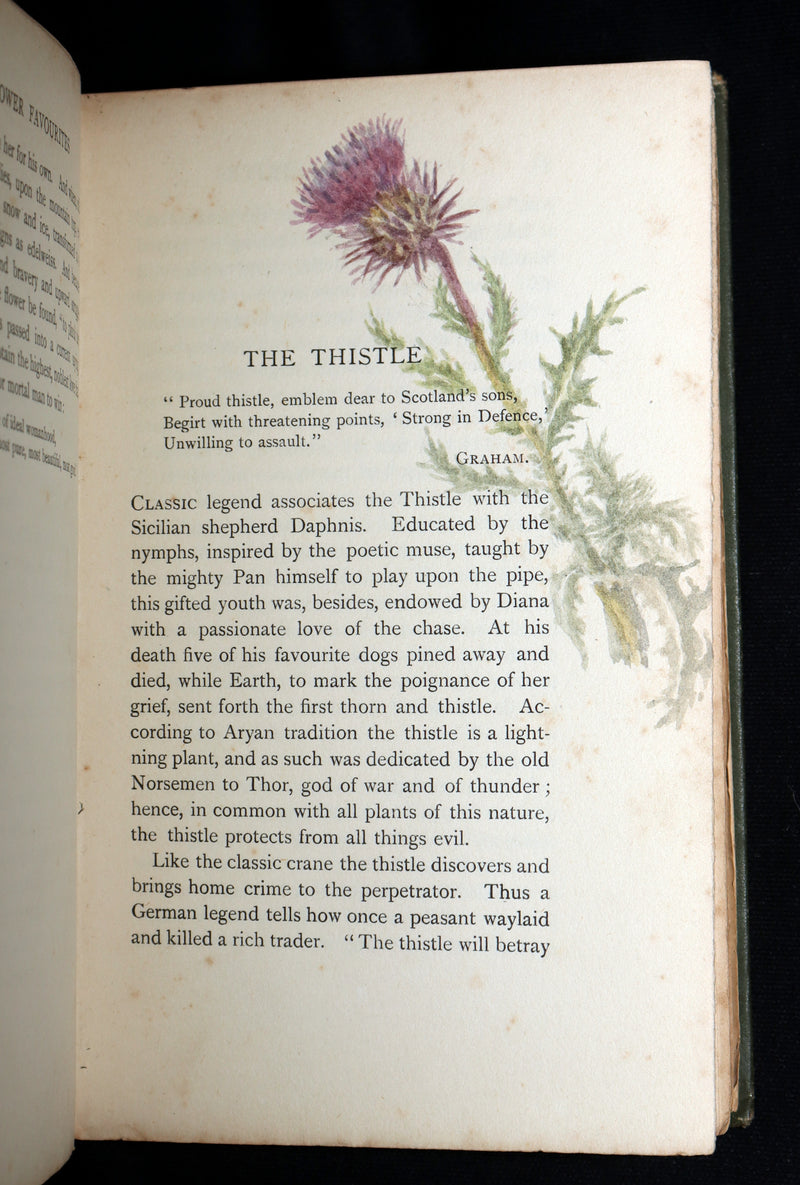 1898 First Edition, Unique Hand-Illuminated - Flower Favourites by Lizzie Deas