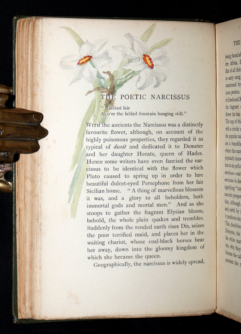 1898 First Edition, Unique Hand-Illuminated - Flower Favourites by Lizzie Deas