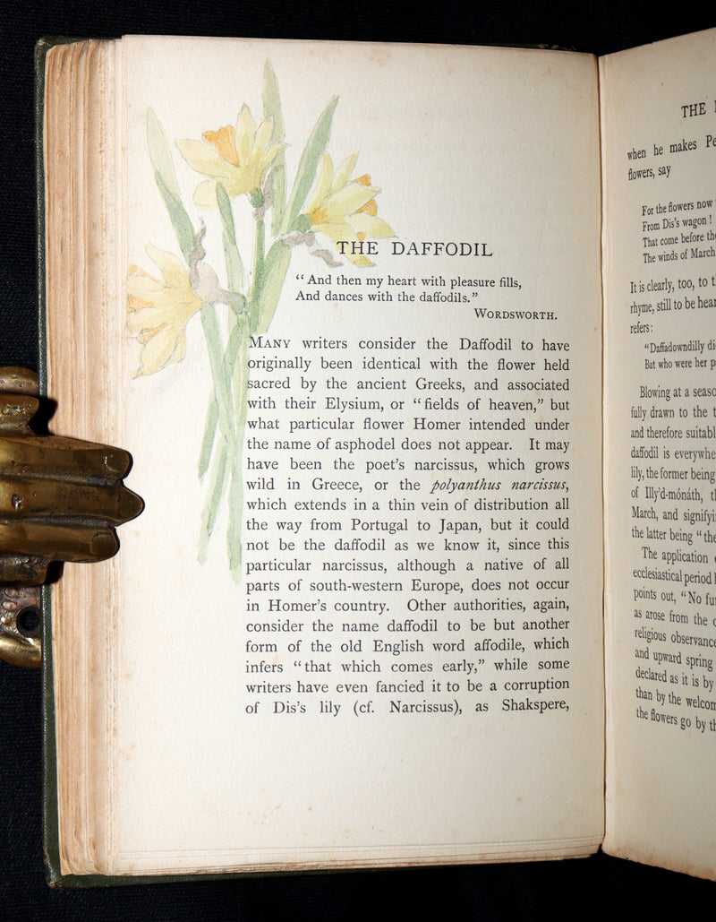 1898 First Edition, Unique Hand-Illuminated - Flower Favourites by Lizzie Deas